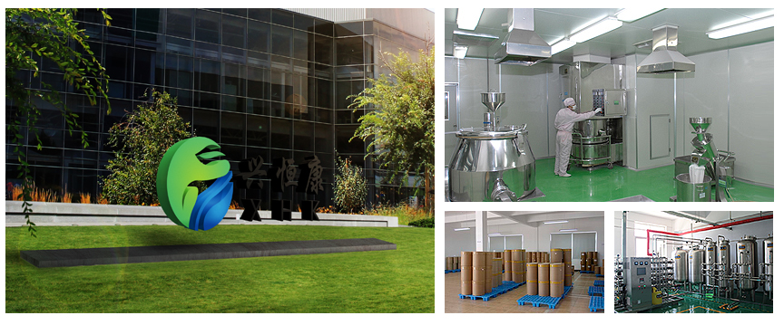  Hubei Xinghengkang Chemical Technology Co., Ltd.